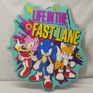 Sega Sonic The Hedgehog Life In The Fast Lane Wooden Hanging Wall Decor 17.5x16"